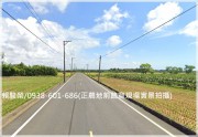 新屋【正新湖路】8米路863超值農地物件照片